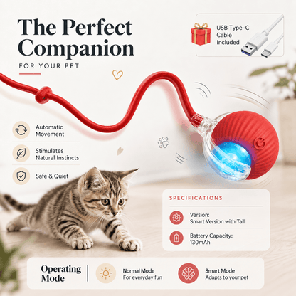 Interactive Smart Ball for Cats