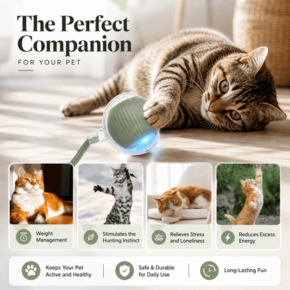 Interactive Smart Ball for Cats