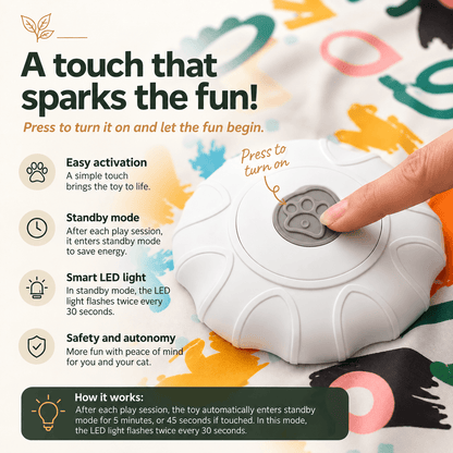 Smart Cat Mat | USB-C Automatic Interactive Toy