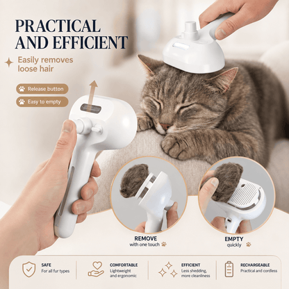3-in-1 Pet Brush | Steam, Massage & Hair Removal