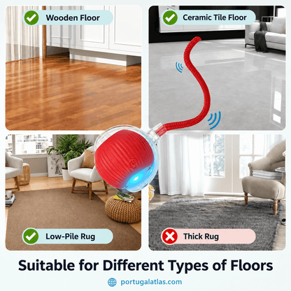 Interactive Smart Ball for Cats