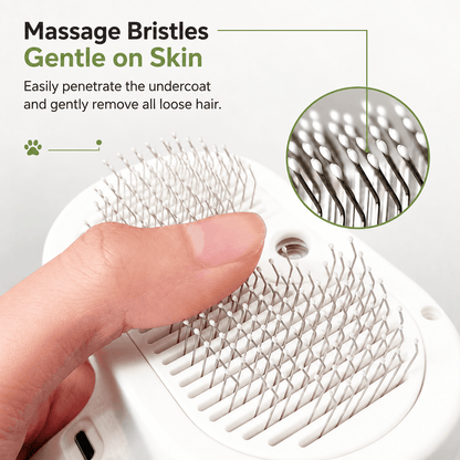 3-in-1 Pet Brush | Steam, Massage & Hair Removal